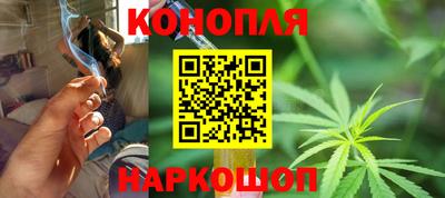 шишки Беслан