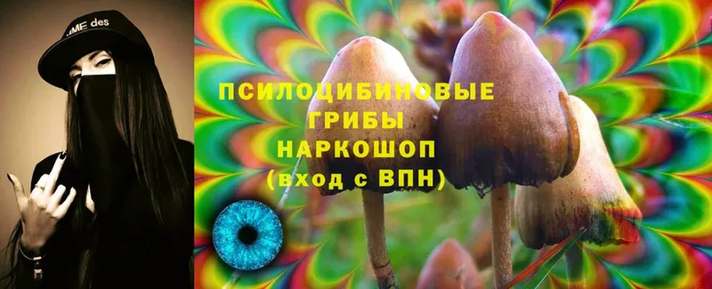 купить закладку  Чусовой  Галлюциногенные грибы Magic Shrooms 