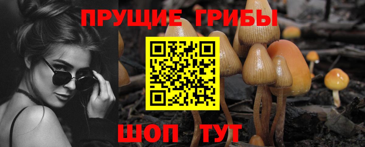 Галлюциногенные грибы мицелий  Галлюциногенные грибы Psilocybine cubensis  Чусовой  Вход с VPN 