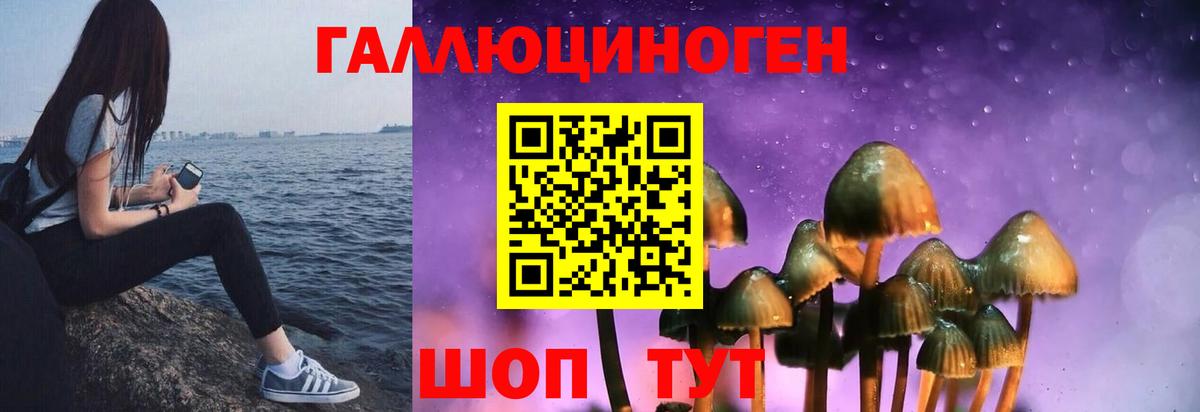 Псилоцибиновые грибы прущие грибы Чусовой